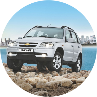 Ремонт Ремонт, Покраска, Замена Дверей Chevrolet Niva